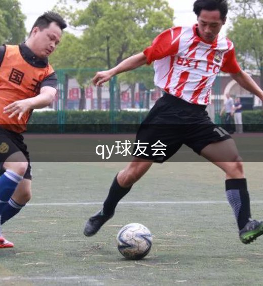 公司体系